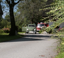 Fotos 2016 von Roland - IMG_4016