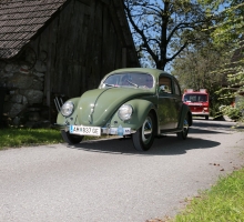 Fotos 2016 von Roland - IMG_4017