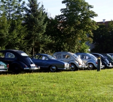 Fotos 2016 von Sarah - DSC_4730