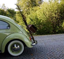 Fotos 2016 von Sarah - DSC_4741