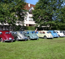 Fotos 2016 von Sarah - DSC_4755