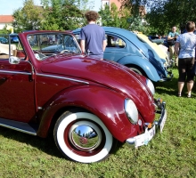 Fotos 2016 von Sarah - DSC_4756