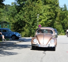 Fotos 2016 von Sarah - DSC_4786