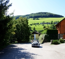 Fotos 2016 von Sarah - DSC_4806