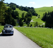 Fotos 2016 von Sarah - DSC_4812