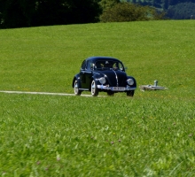 Fotos 2016 von Sarah - DSC_4832