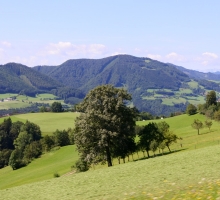 Fotos 2016 von Sarah - DSC_4841