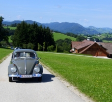 Fotos 2016 von Sarah - DSC_4877