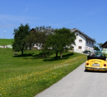 Fotos 2016 von Sarah - DSC_4891