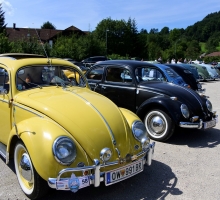 Fotos 2016 von Sarah - DSC_4925