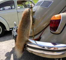 Fotos 2016 von Sarah - DSC_4935