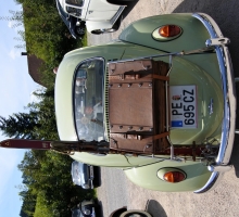 Fotos 2016 von Sarah - DSC_4945